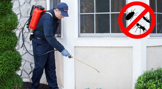 Pursaklar Akrep İlaçlama böcek ilaçlama ve haşere kontrolü — ilaclama-tr.com